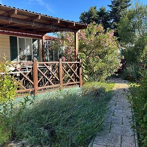 Camping Media Mobile Homes in Brioni Sunny Camping